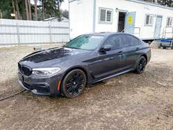 2020 BMW 530E