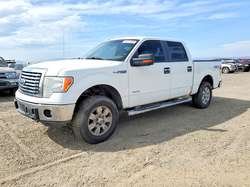 2012 Ford F-150 Supercrew
