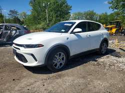 2024 Dodge Hornet R