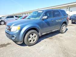 2012 Ford Escape XLS