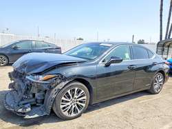 2019 Lexus ES 300H