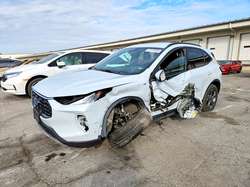 2025 Ford Escape ST Line Select