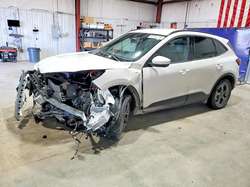 2025 Ford Escape ST Line Select