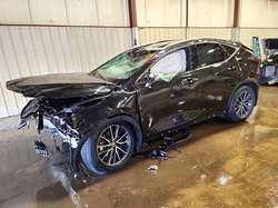 2024 Lexus NX 350 Base
