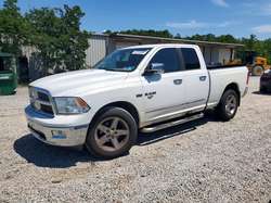 2010 Dodge RAM 1500