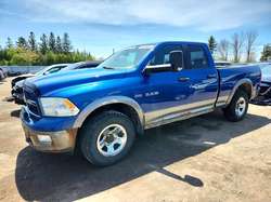 2010 Dodge RAM 1500
