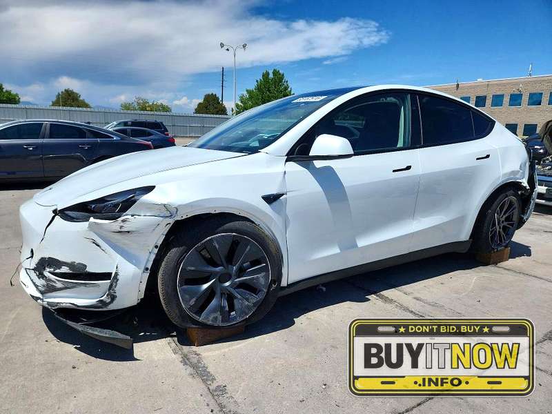 2024 Tesla Model Y