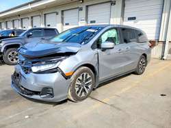 2026 Honda Odyssey EXL