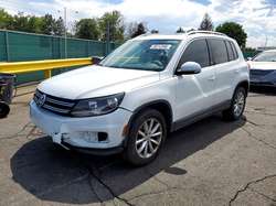 2017 Volkswagen Tiguan Wolfsburg