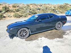 2016 Dodge Challenger R