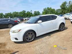 2011 Scion TC Base