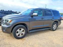 2019 Toyota Sequoia SR5