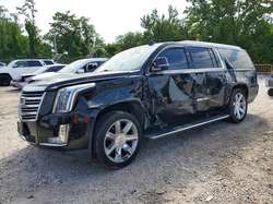 2019 Cadillac Escalade ESV Platinum