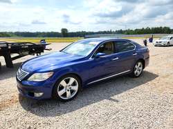 2010 Lexus LS 460