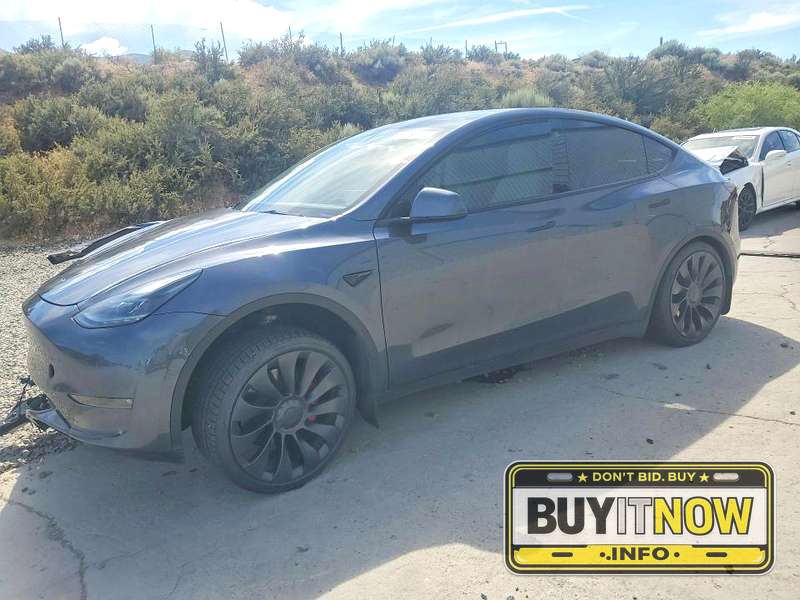 2023 Tesla Model Y