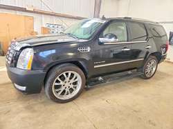 2011 Cadillac Escalade Luxury