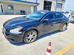 2013 Nissan Maxima
