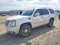 2012 Cadillac Escalade Luxury