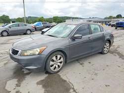 2010 Honda Accord EX