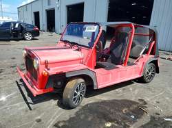 2019 Cruise Moke