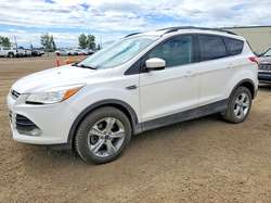 2023 Ford Escape SE