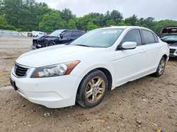 2010 Honda Accord LXP