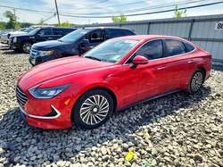 2020 Hyundai Sonata Hybrid SEL