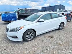 2016 Hyundai Sonata ECO