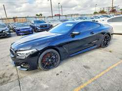 2019 BMW M850XI