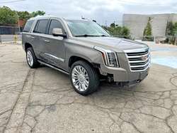 2019 Cadillac Escalade Platinum