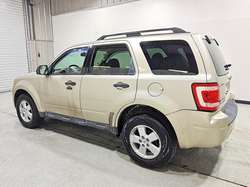 2011 Ford Escape XLT — 6