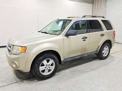 2011 Ford Escape XLT — 1