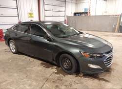 2019 Chevrolet Malibu 1FL