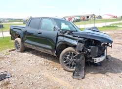 2024 Toyota Tundra Hybrid Platinum 4WD