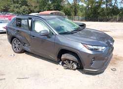 2025 Toyota RAV4 Hybrid XLE Premium