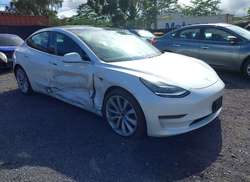 2020 Tesla Model 3 Standard Range Plus Rear-Wheel Drive/Standard Range Rear-Wheel Drive