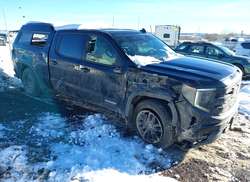 2024 GMC Sierra 1500 4WD  Standard BOX Elevation