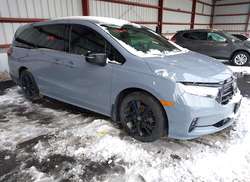 2023 Honda Odyssey Sport