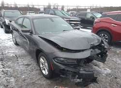 2020 Dodge Charger SXT RWD