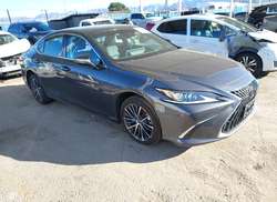 2025 Lexus ES 350  