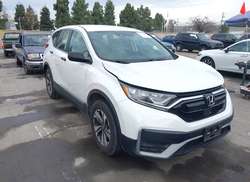 2020 Honda CR-V AWD LX