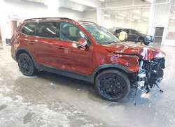 2024 KIA Telluride SX Prestige X-Line