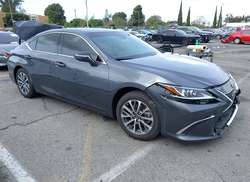 2024 Lexus ES 350  