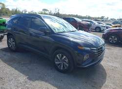 2024 Hyundai Tucson Hybrid Blue