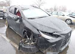 2025 Lexus NX 350H Premium