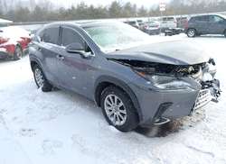 2021 Lexus NX 300  