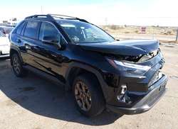 2025 Toyota RAV4 Hybrid Woodland Edition