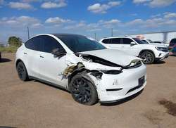 2020 Tesla Model Y  