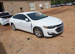 2024 Chevrolet Malibu FWD 1FL