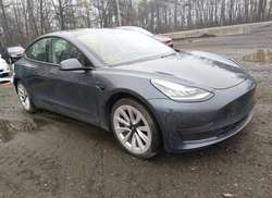 2021 Tesla Model 3 Standard Range Plus Rear-Wheel Drive